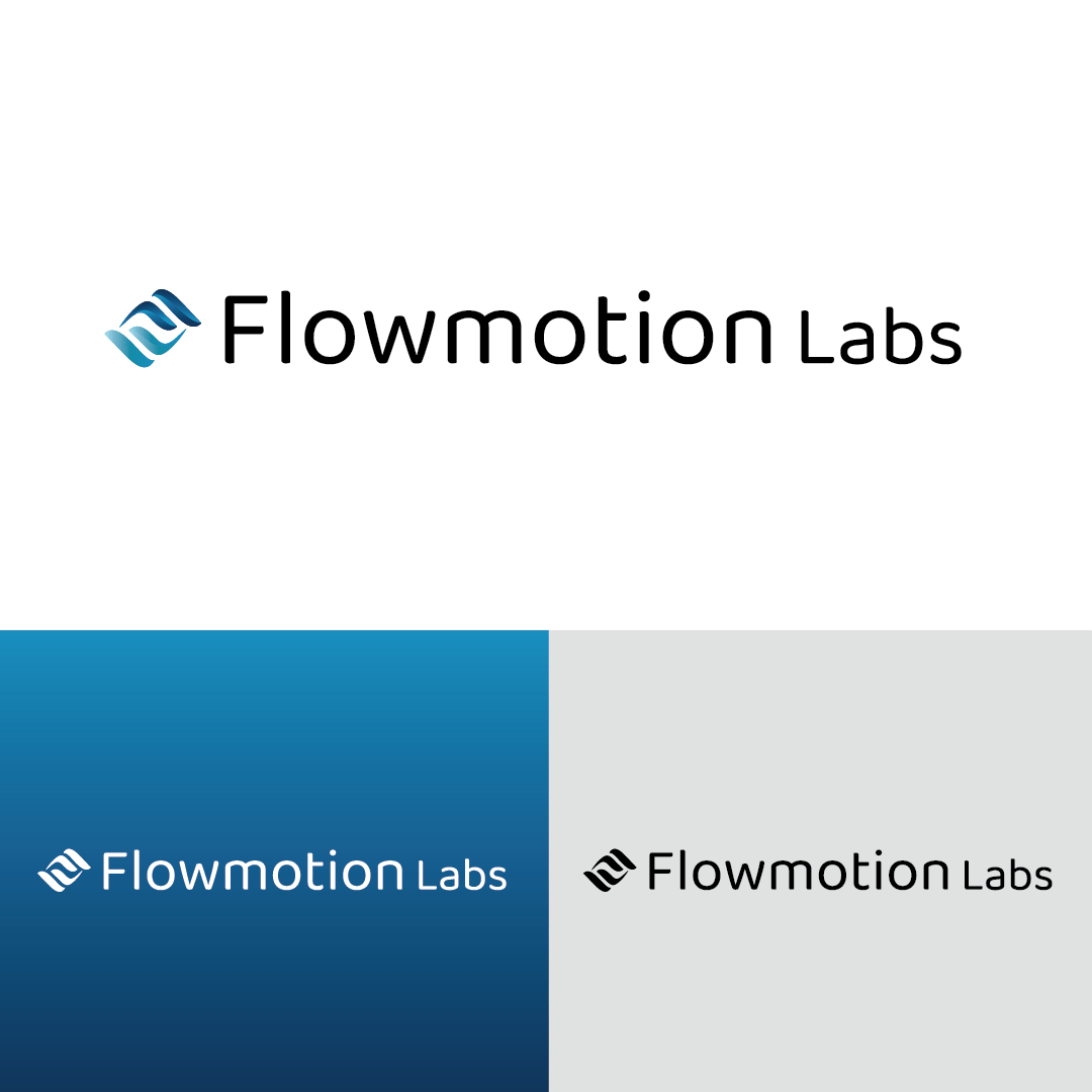 Branding - Flowmotion Labs
