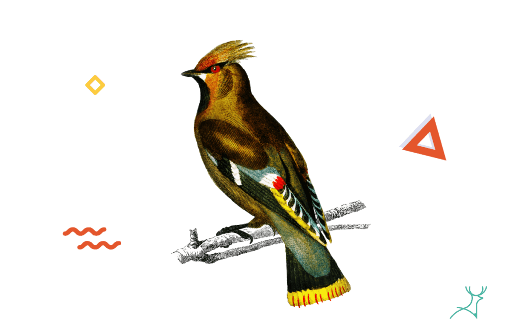 illustration style,type of illustration,digital illustration,art style,lineart,graphic design