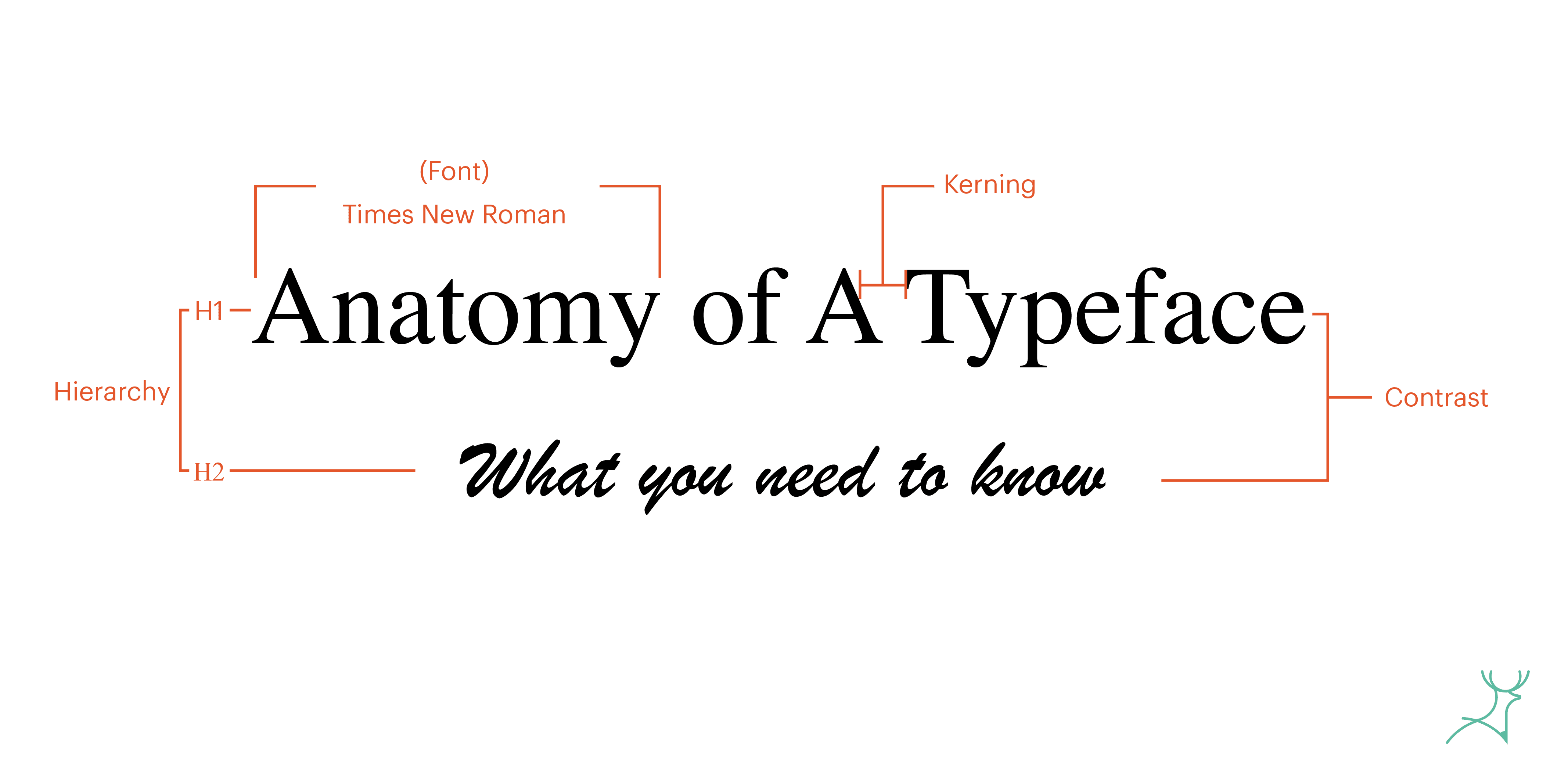 anatomy of a typeface