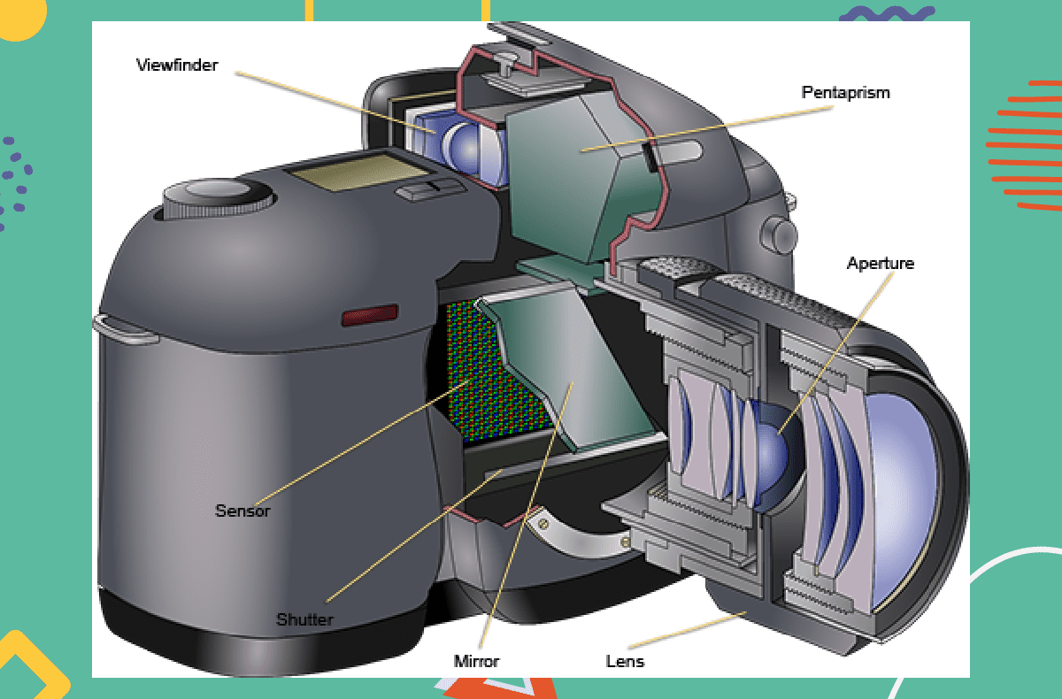 Technical (Scientific) illustration