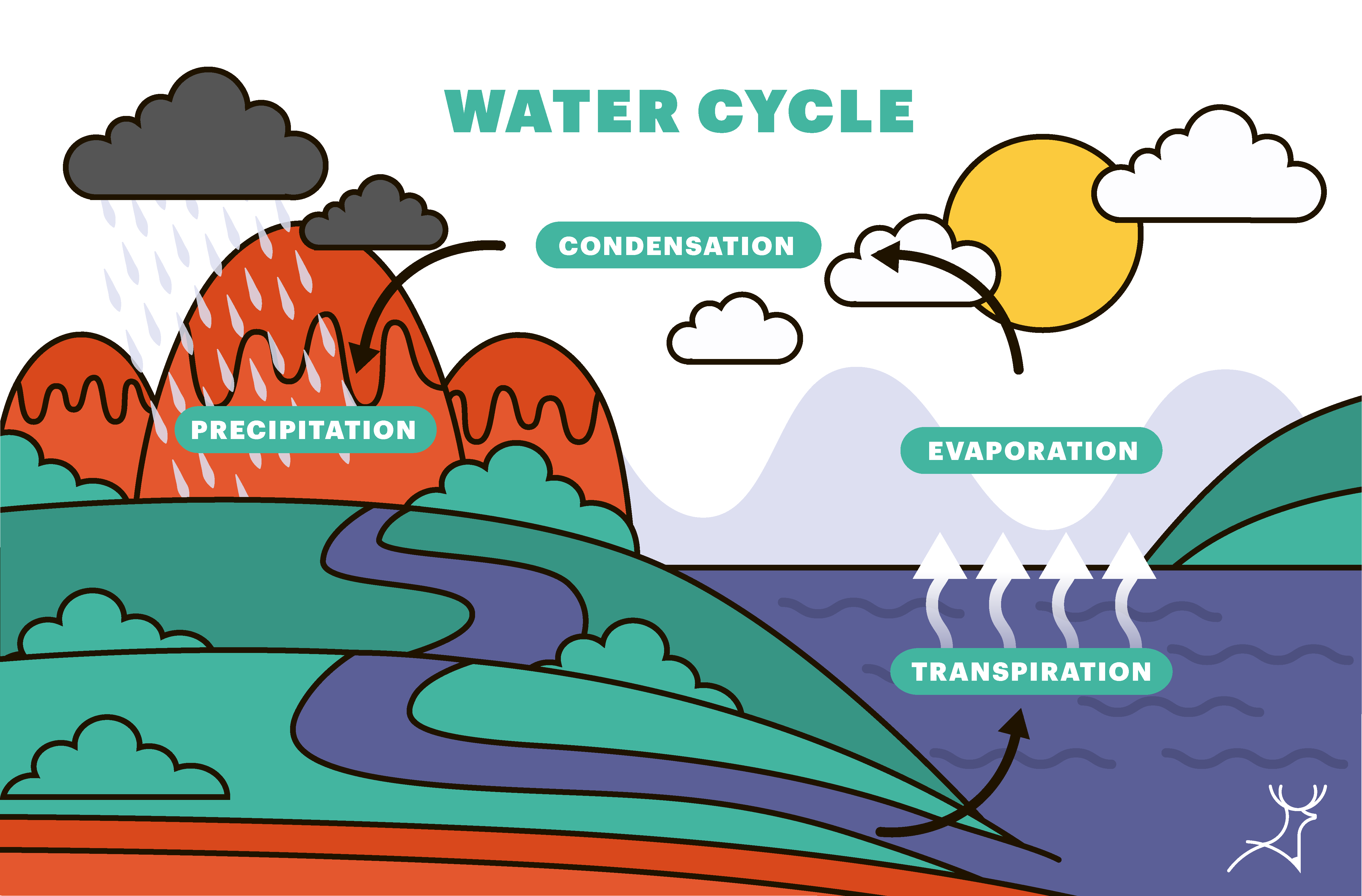 Water cycle