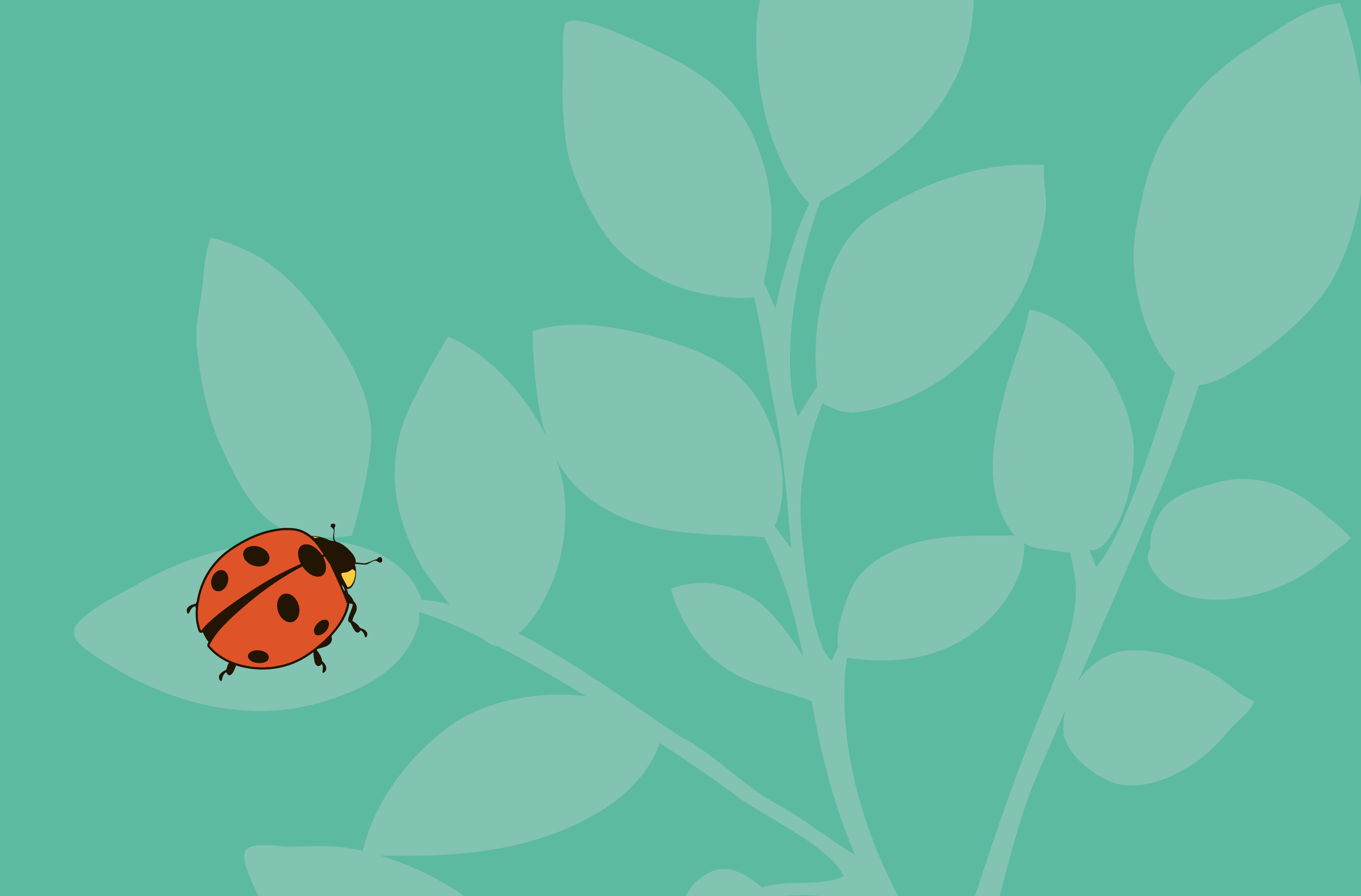 red ladybug green plant green background